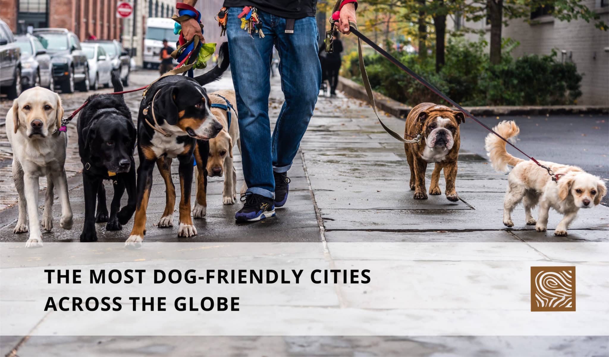 what city is the most dog friendly